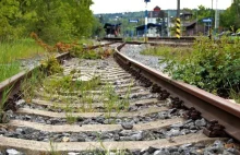Dolnośląskie: Tragedia na przejeździe kolejowym. Zginęło pięć osób.
