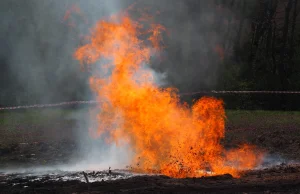 Erupcja ropy i gazu w Sękowej. Teraz wójt chce uruchomić wydobycie