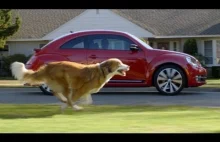 The Dog Strikes Back: 2012 nowa reklama VW