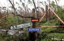 Tyle drewna nadleśnictwo pozyskałoby w ciągu 20 lat-dyrektor RDLP Gdańsk o burzy