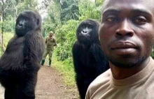 Selfie z gorylem