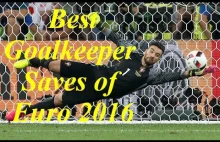 Best Goalkeeper Saves of Euro 2016 France