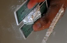 Lekcja o narkotykach. Zniknęła kokaina prowadzącego... Holandia