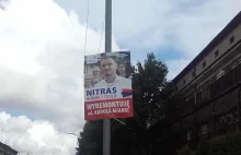 Nielegalne plakaty wyborcze w Szczecinie. Jest afera