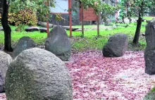 Magiczne kamienne kręgi w Świdnicy. Mają moc?