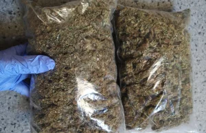 Areszt za posiadanie blisko kilograma narkotyków