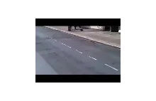 Agresywny pitbull atakuje policjanta w Anglii