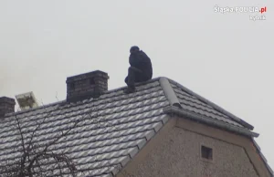 Poszukiwany przed policją uciekł… na dach i nie chciał zejść