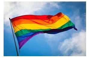 Środowiska LGBT niezadowolone z Polski
