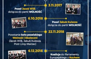 Partia Korwina i narodowców zaczyna kampanie przed eurowyborami od hasła PolExit