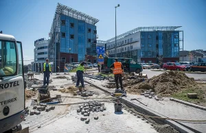 Na studia dla miejsca parkingowego? Pracowników sposób na darmowe parkowanie