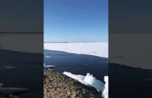 Dryf lodu na rzece w Rosji