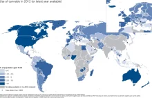 Co w trawie piszczy, czyli kto pali najwięcej marihuany? [MAPA]