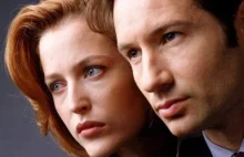 The X-Files (prawdopodobnie) powróci