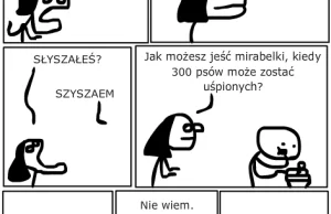 Zamykają schronisko dla zwierząt w Stefanowie!