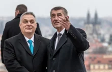 Czechy i Węgry: Czas na zmiany w Komisji Europejskiej