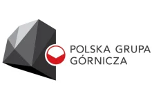 RIBELO Blog: Polska Grupa Górnicza.