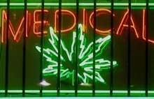 W Meksyku zalegalizowano medyczną marihuanę
