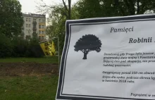 Warszawa. Mieszkańcy Pragi żegnają ścięte drzewo. Przygotowali nekrolog