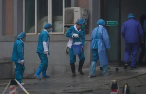 17 osób nie żyje, ponad 540 jest zarażonych. Wzrósł bilans koronawirusa z Chin