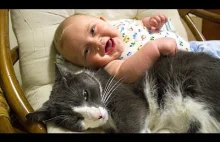 Cat Protecting Babies and Loving Very Much Compilation