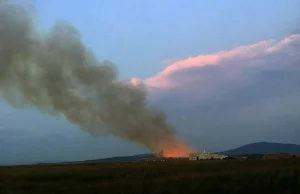 Potężny pożar w Jordanowie Śląskim. Palą się sterty słomy przy zakładzie...