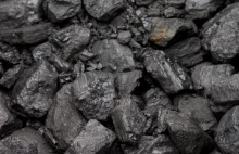 Węgiel może stać się odnawialnym źródłem energii. Ale nie ten "kopalniany"
