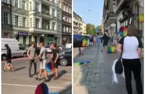 Szczecin: Rozbito festyn organizacji LGBT [WIDEO