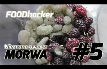 FOODhacker #5: Nieznane owoce: MORWA