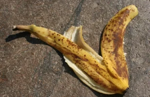Skórka od banana - wróg społeczeństwa XIX wieku