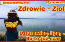 Zdrowie - Zioła - Dziurawiec, lipa, ... Bo to już czas!