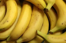 76 kg kokainy w skrzyniach z bananami z Ekwadoru