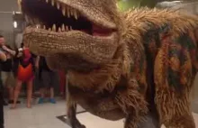 Świetny kostium dinozaura