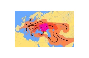 Skąd się wzięli Indoeuropejczycy