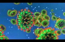 SARS Coronavirus. (Eng)