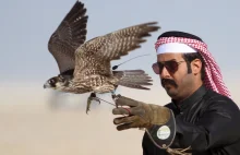 Qatar zapłacił Al-Kaidzie $1 miliard okupu za zwolnienie porwanych książąt...