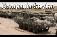 Kompania transporterów Stryker / SBCT (Komentarz) #gdziewojsko