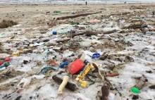 Morze Bałtyckie po sztormie wyrzuciło na brzeg nie tylko bursztyny. Plaża...