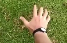 Jak złapać kreta w ogrodzie