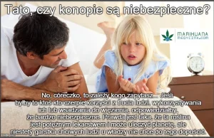 Pytanie o konopie