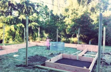 Jak zrobić ogródek warzywny w 4 dni? Historia prawdziwa