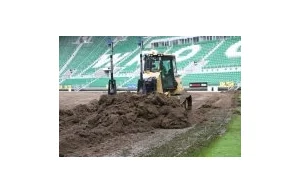 Zaorali stadion, by położyć najdroższą trawę w Polsce