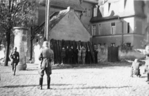 78 lat temu Niemcy rozpoczęli masowe egzekucje polskich elit. Zabili ok 50 tys.