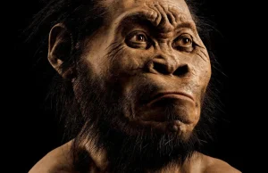 "Homo naledi" Poznajcie Nowego przodka w drzewie rodzinnym !