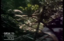 Wietnam 1970 - potyczka w dżungli uwieczniona na filmie.