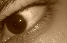 O ruchach sakadycznych oczu