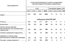 Niemal 1,5 mln Polaków zarabiało co najwyżej minimalną krajową