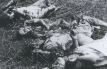 Przerzynali Polaków piłą... 70. rocznica zbrodni w Hucisku