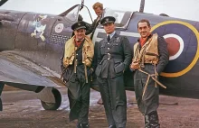 Why did we humiliate Polish aces after Battle of Britain heroics?