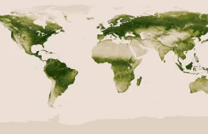 Mapa terenów zielonych na ziemi + rok zmian klimatycznych [GIF]